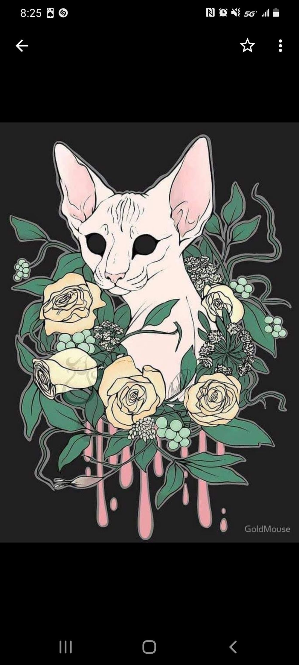 mochimittens OnlyFans profile picture
