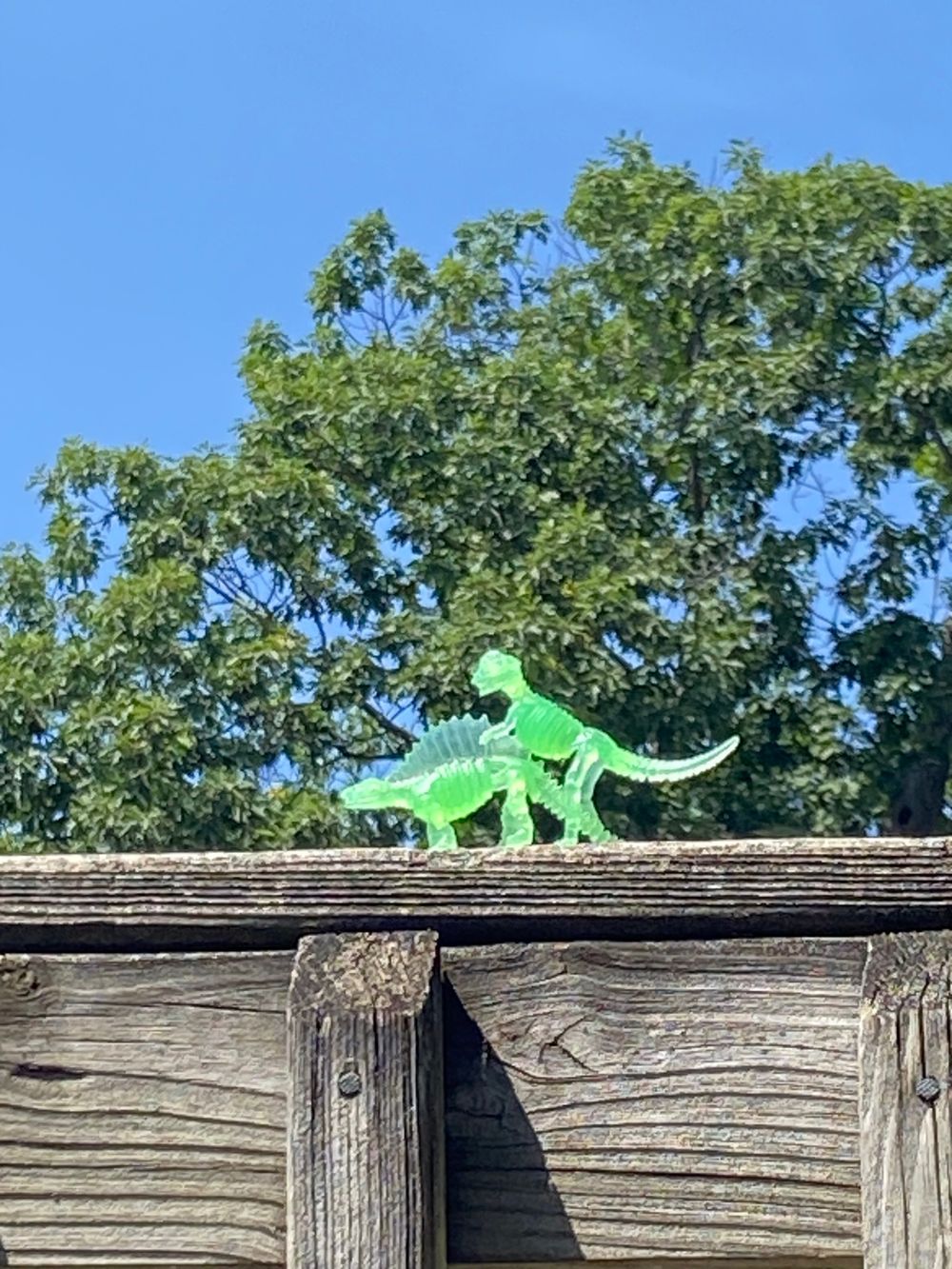 satansnymph369 OnlyFans profile picture