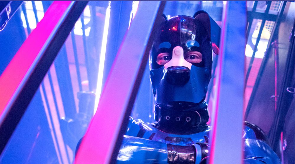 rubberhund OnlyFans profile picture