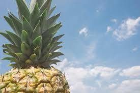 pineappleflow OnlyFans profile picture