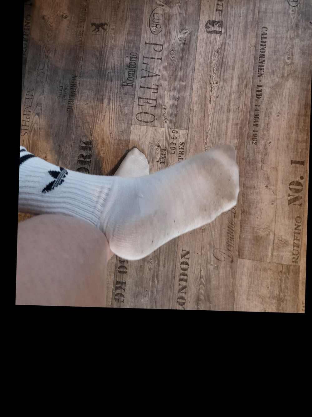 musicdens OnlyFans profile picture