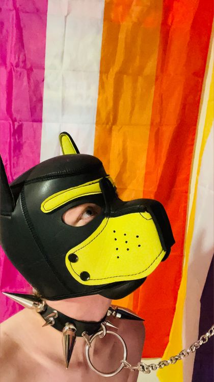 sawyerpuppyof OnlyFans picture