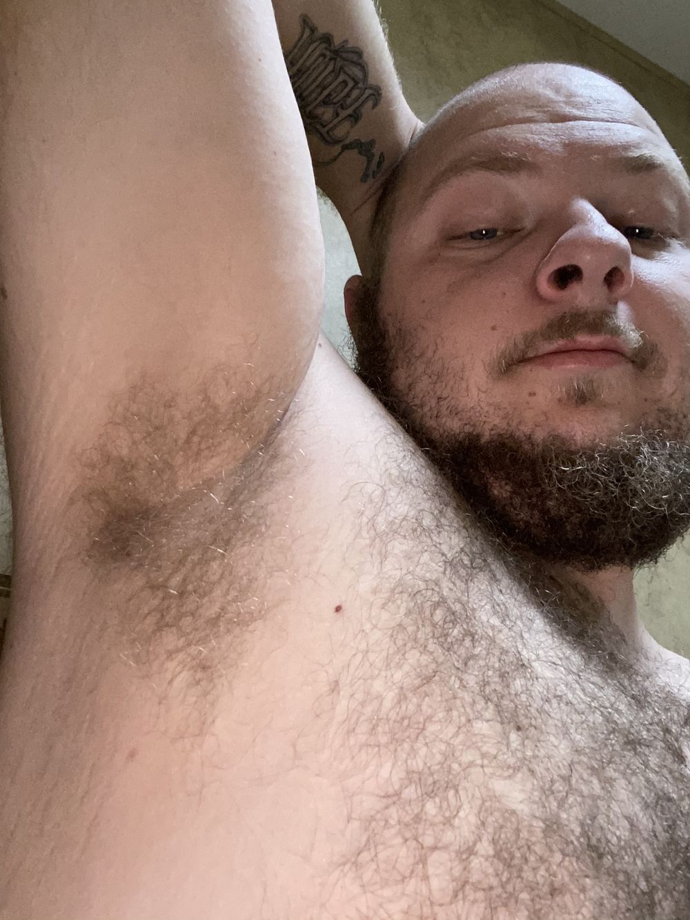 southerngay2 OnlyFans profile picture