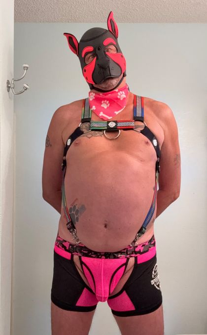 pupdraven OnlyFans picture