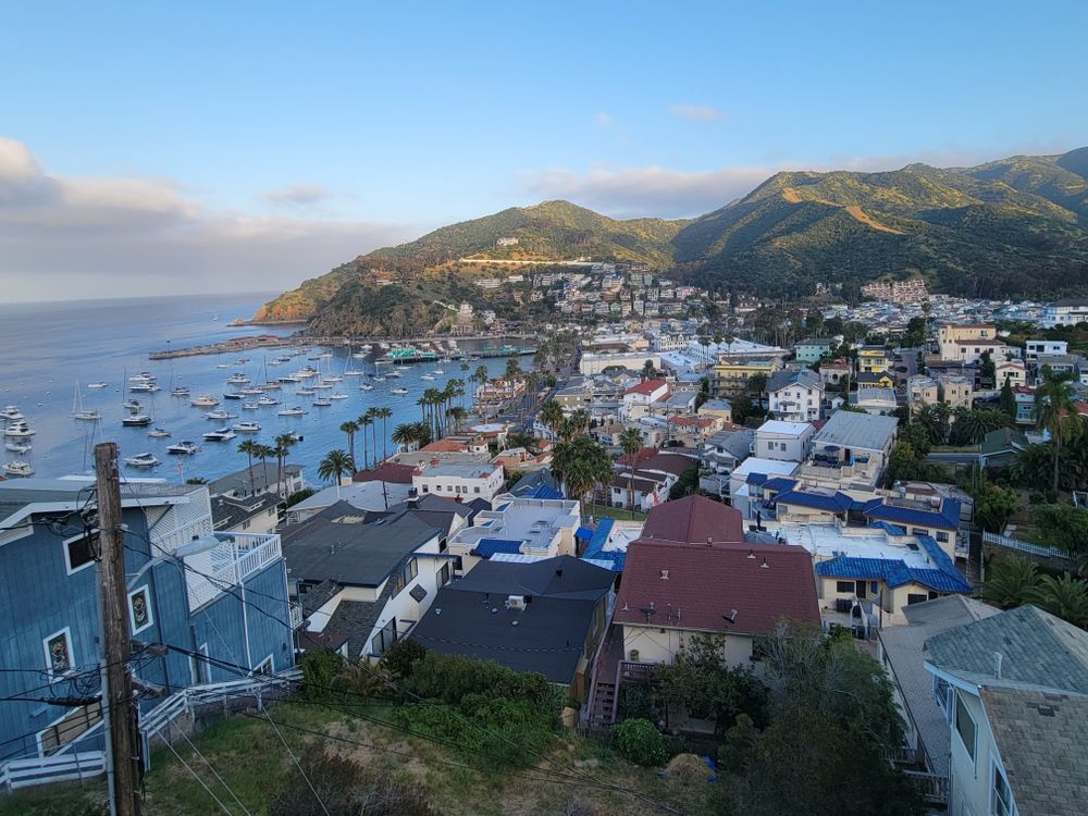 baby_em_rose OnlyFans - Stats, Graphs, Photos & Profile Comparisons