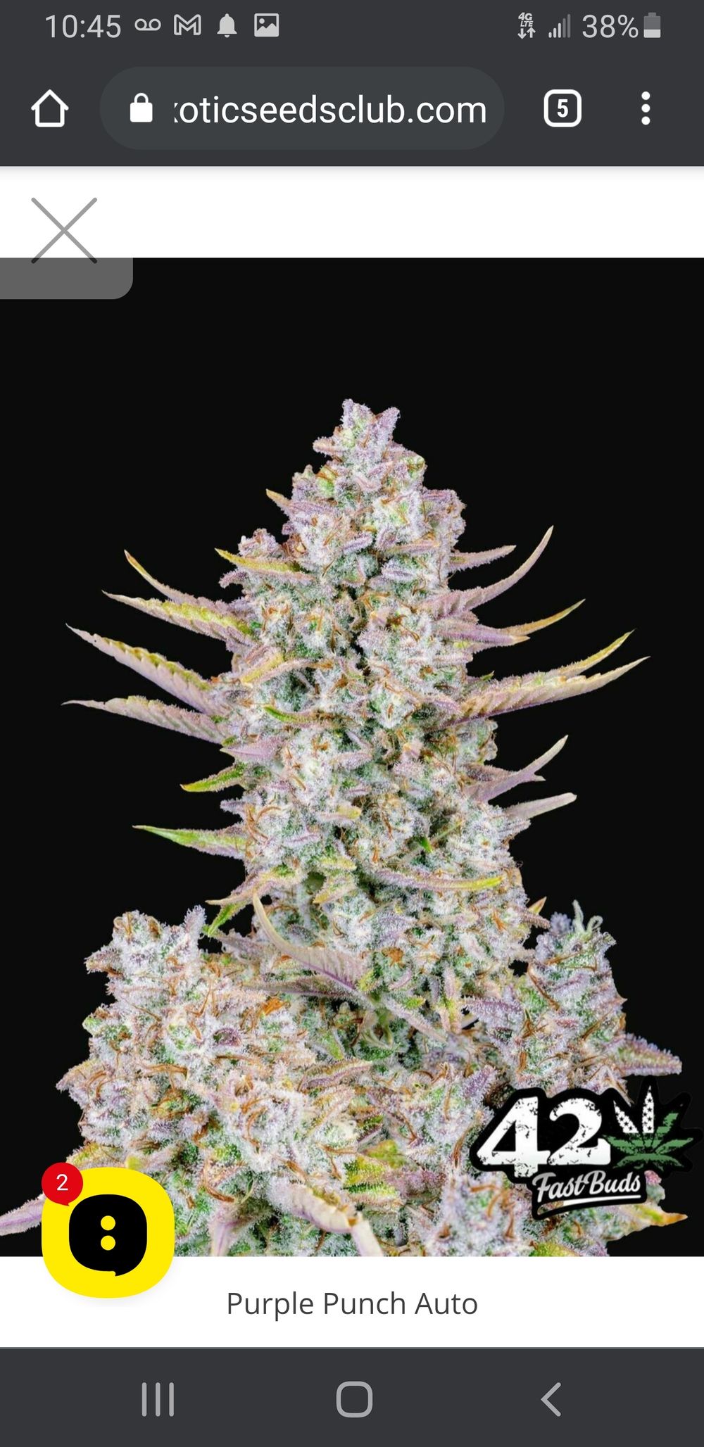 kingsparkzthestoner OnlyFans profile picture