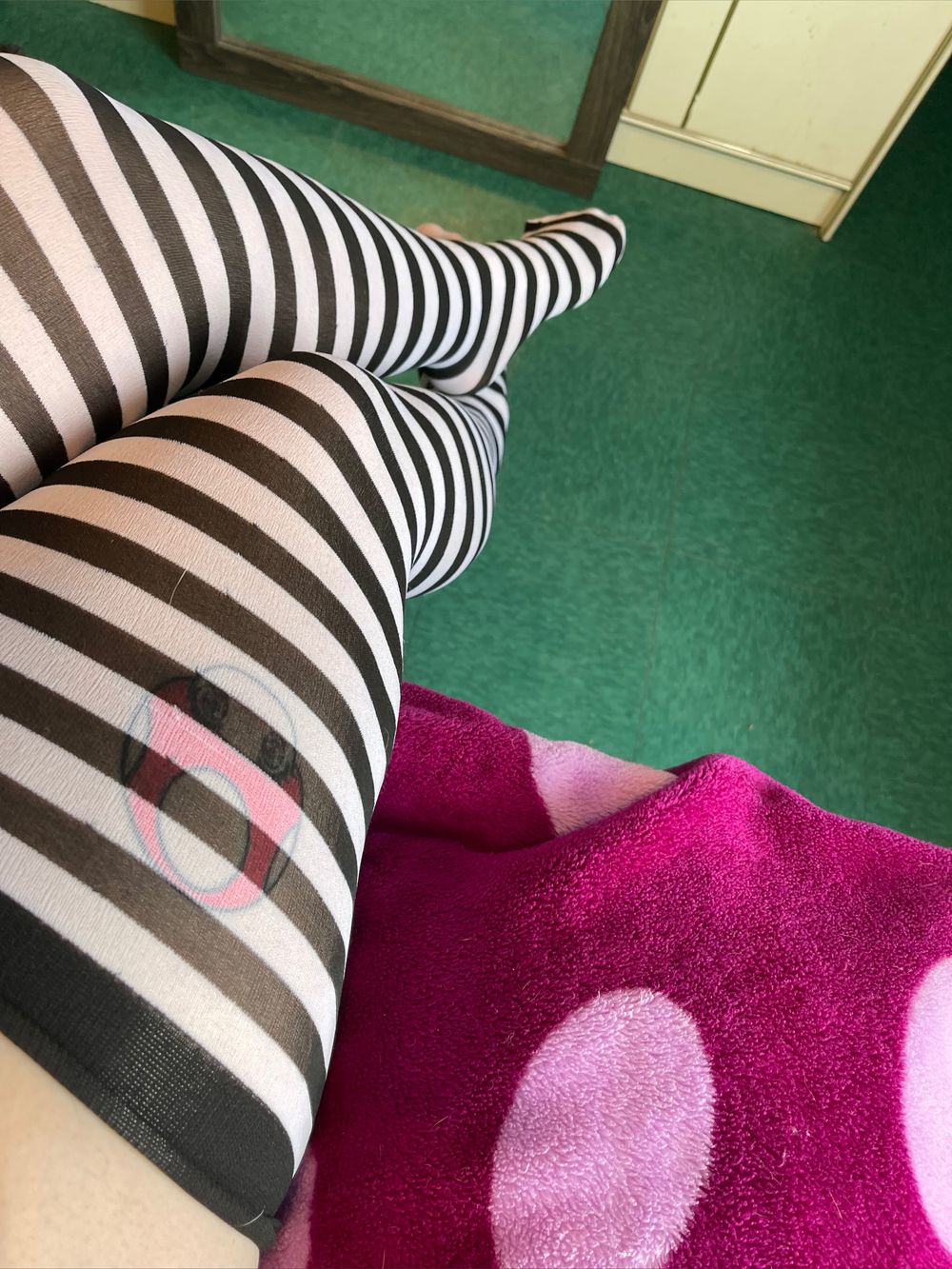sammy_b3ar OnlyFans profile picture