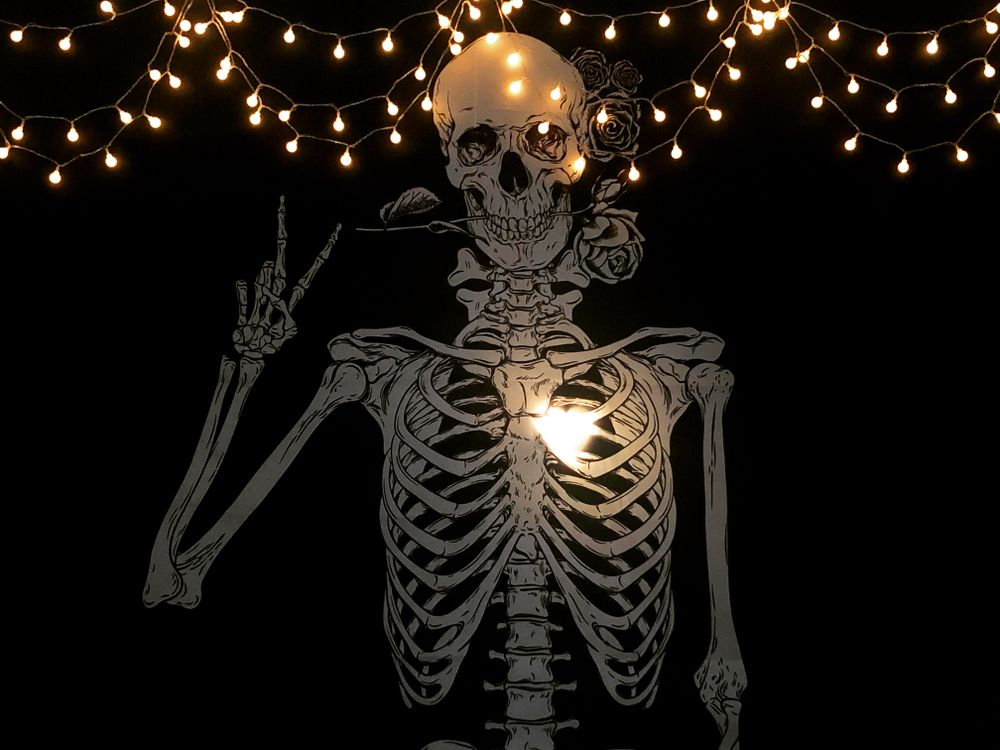 manic_pixie_princess OnlyFans profile picture
