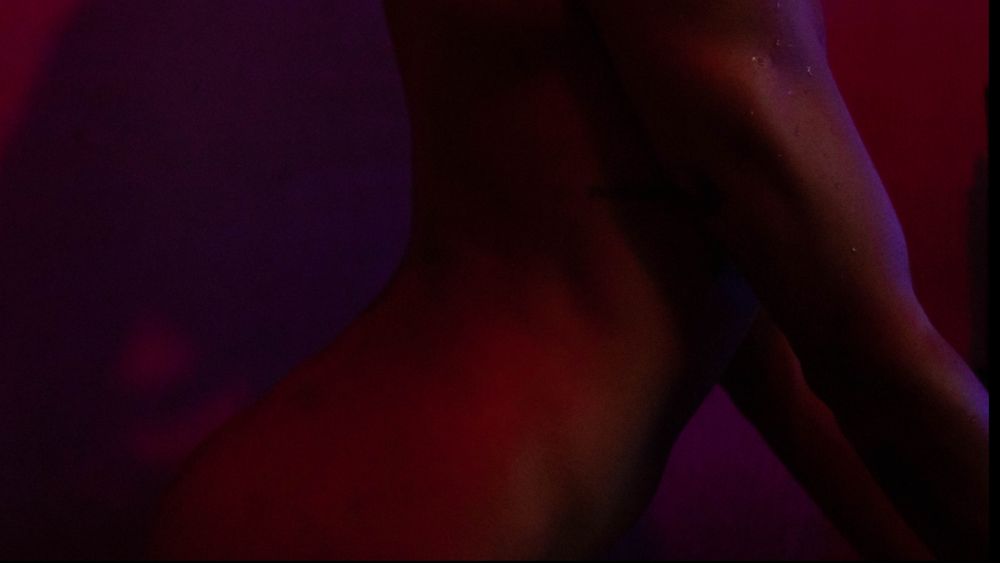 dondopecado OnlyFans profile picture
