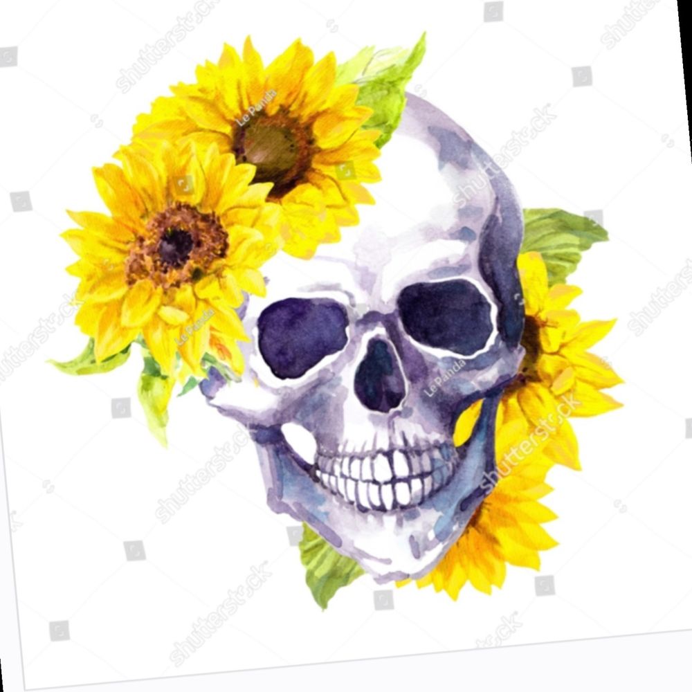 lalalater OnlyFans profile picture