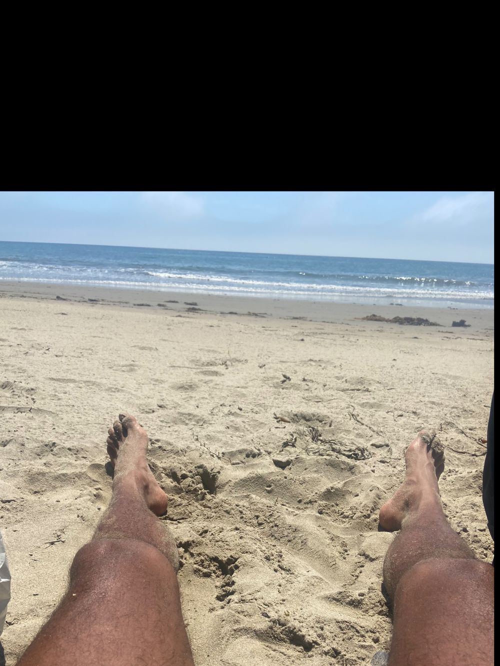 papaloteguy OnlyFans profile picture