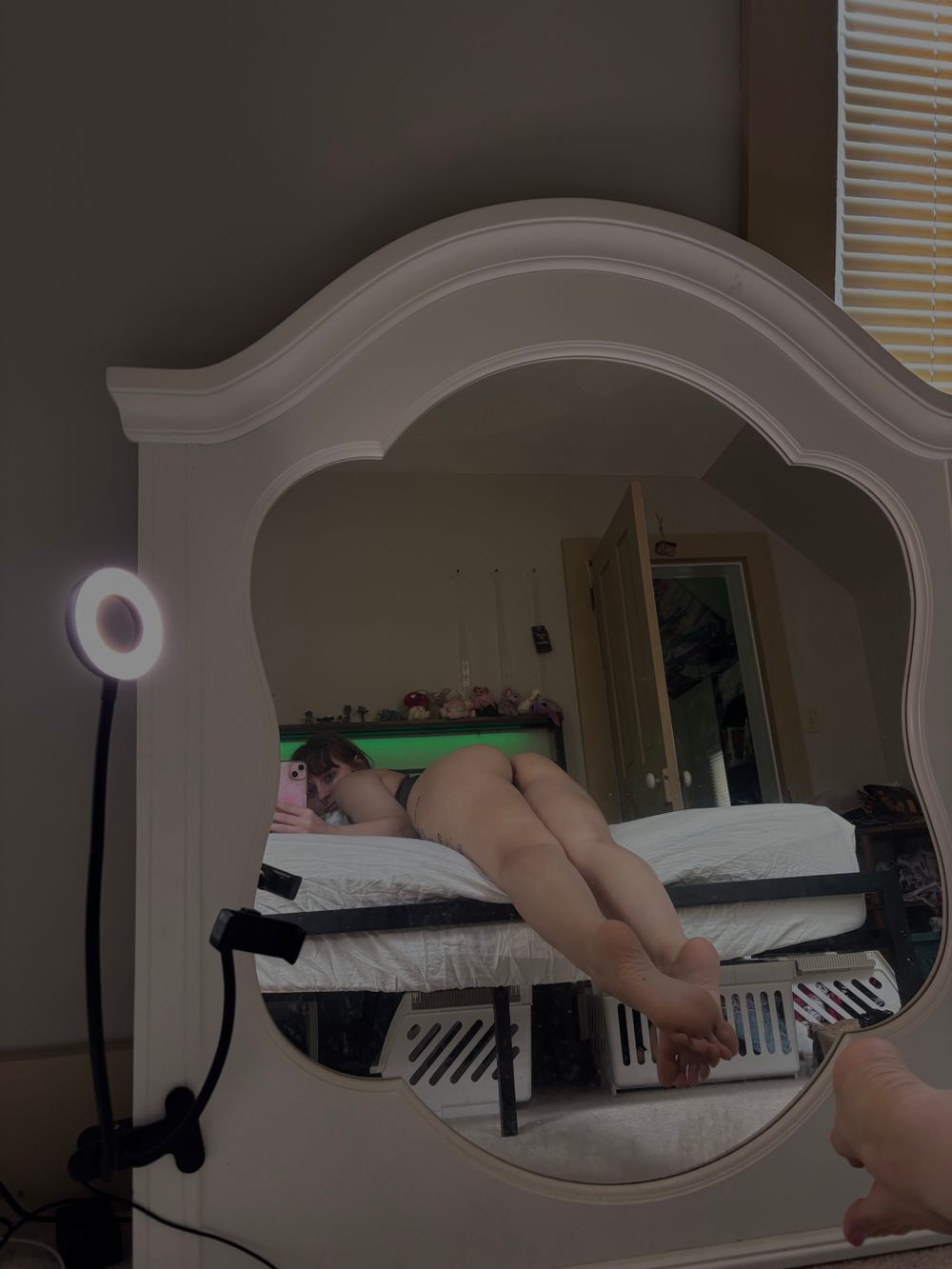 aub.444.rey OnlyFans profile picture