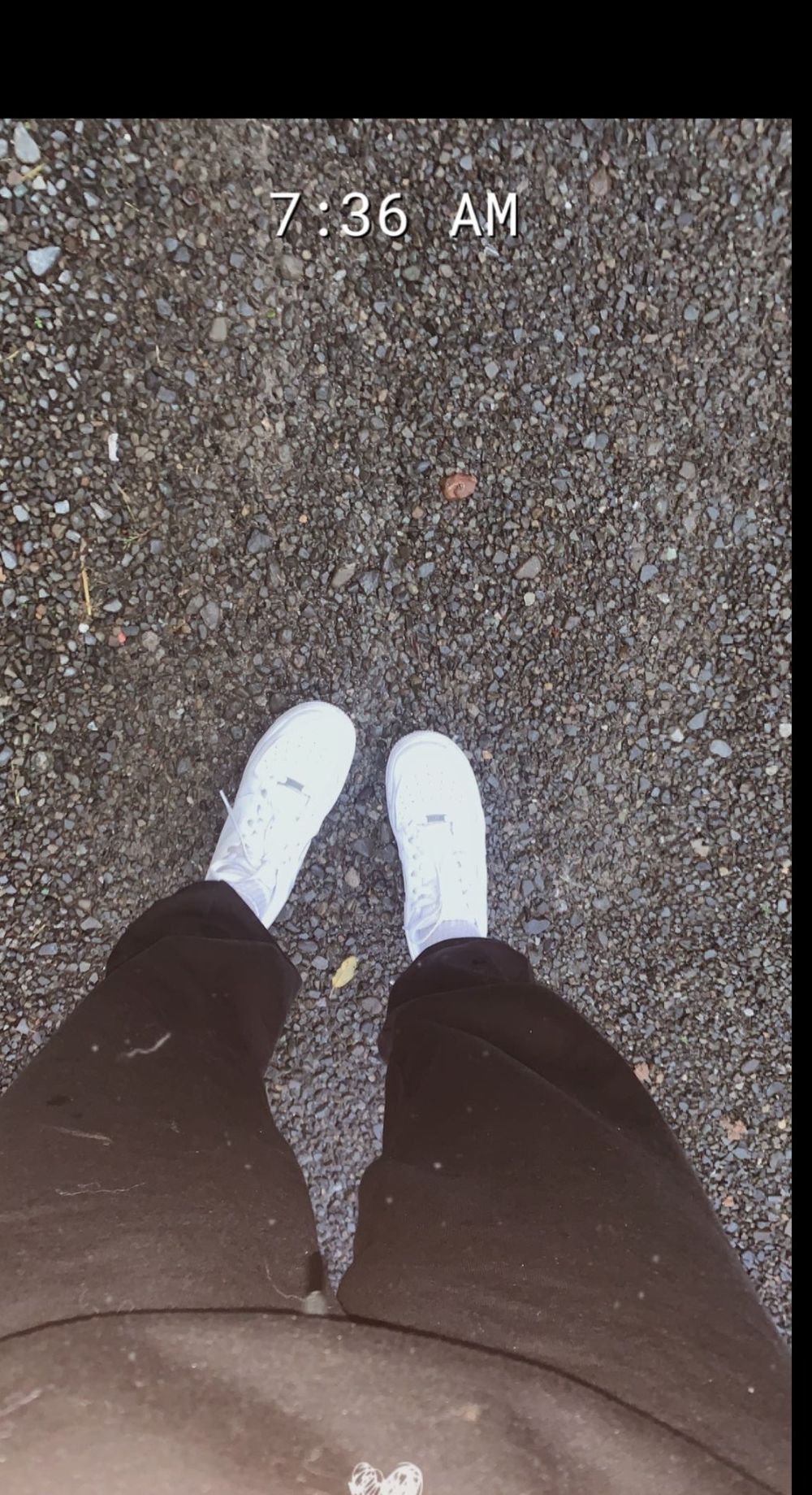 princess.civic.xo OnlyFans profile picture