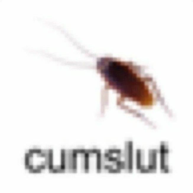 ufo168434762 OnlyFans profile picture