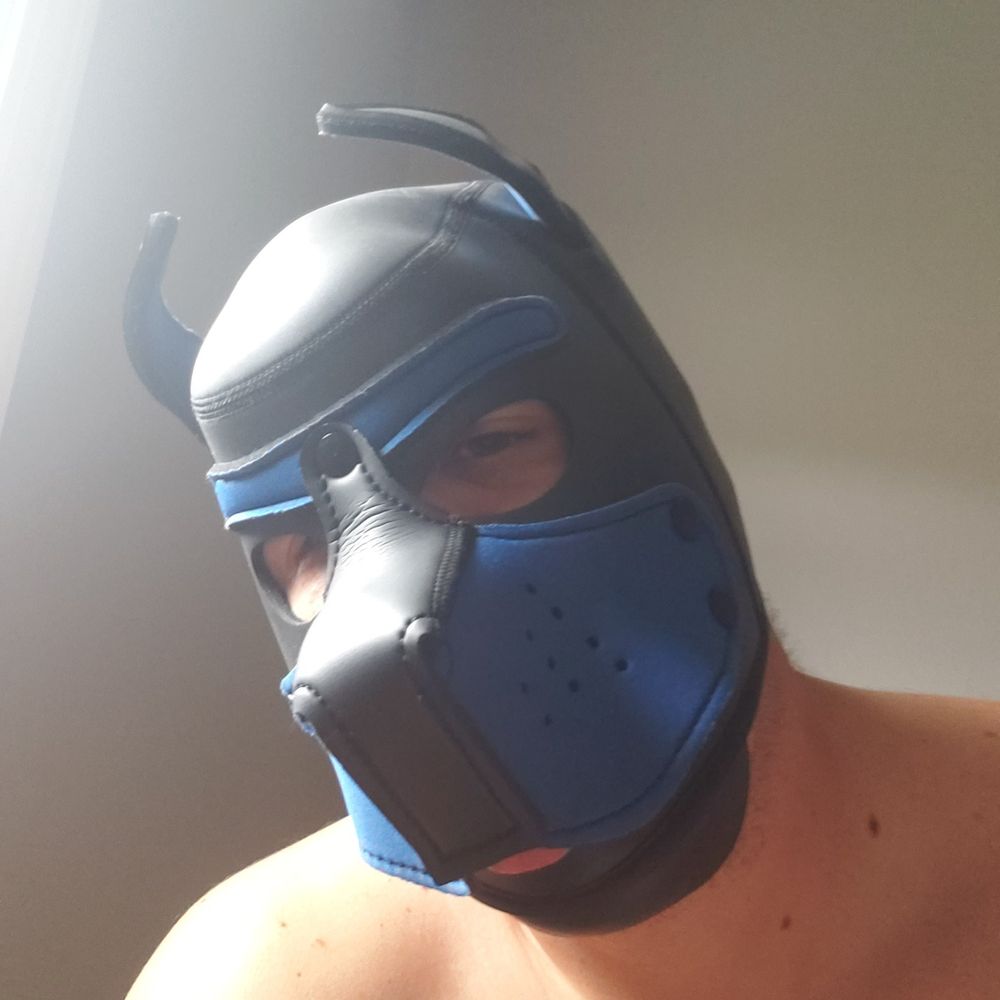 jacko271 OnlyFans profile picture