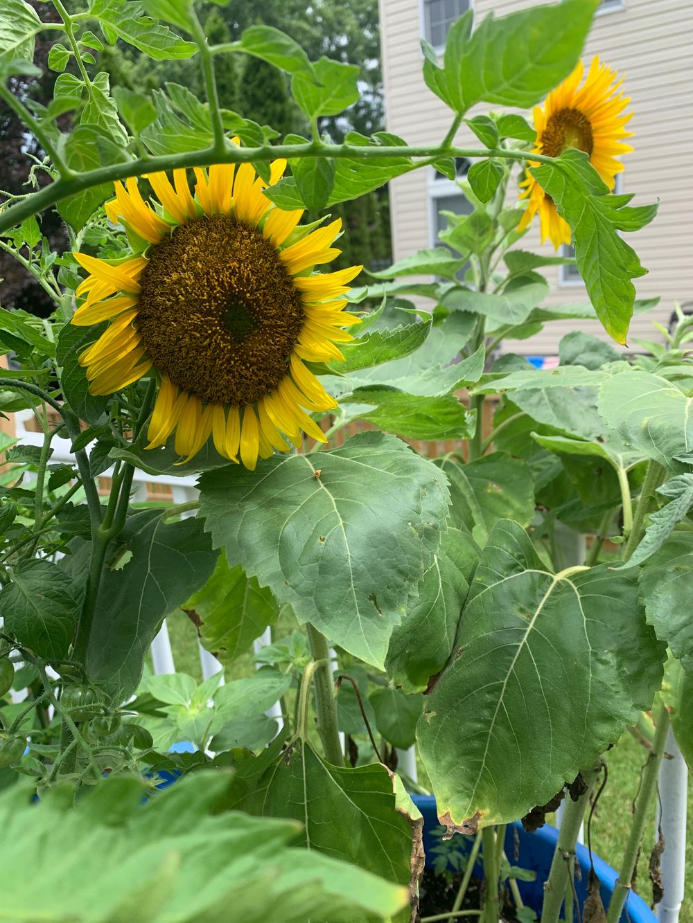 the_botanist OnlyFans profile picture