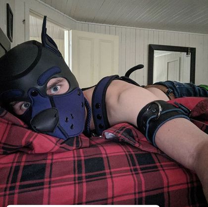 pupcujo OnlyFans picture