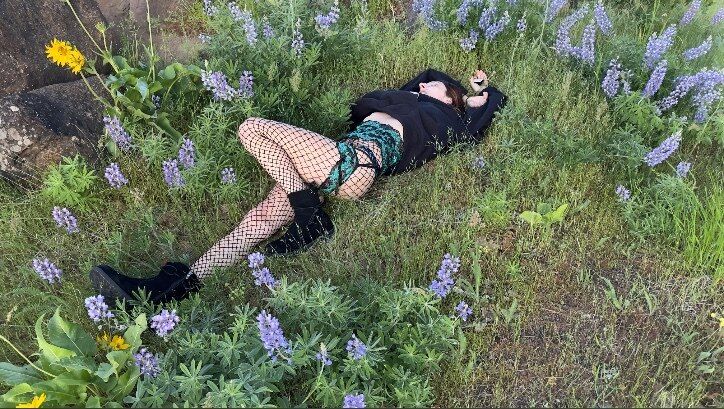 lola.wren OnlyFans profile picture