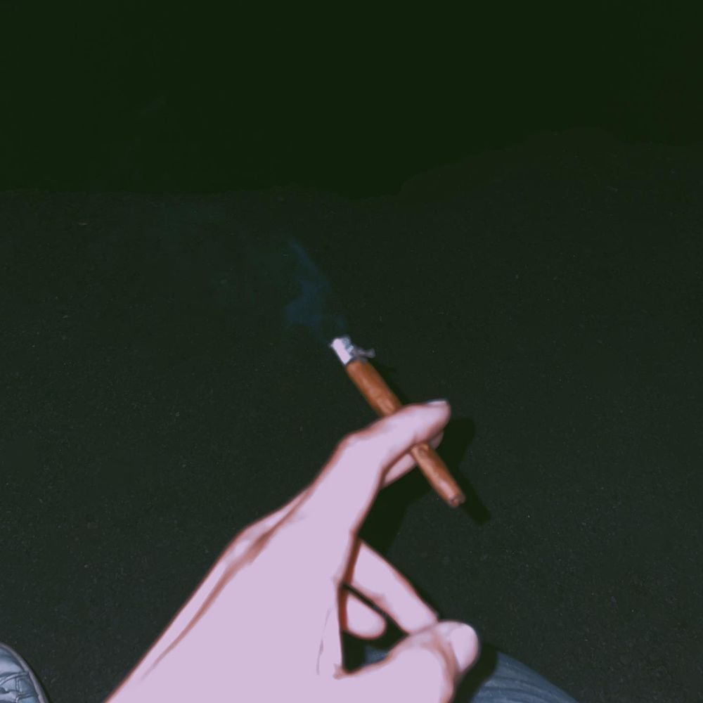 tranzvogue OnlyFans profile picture