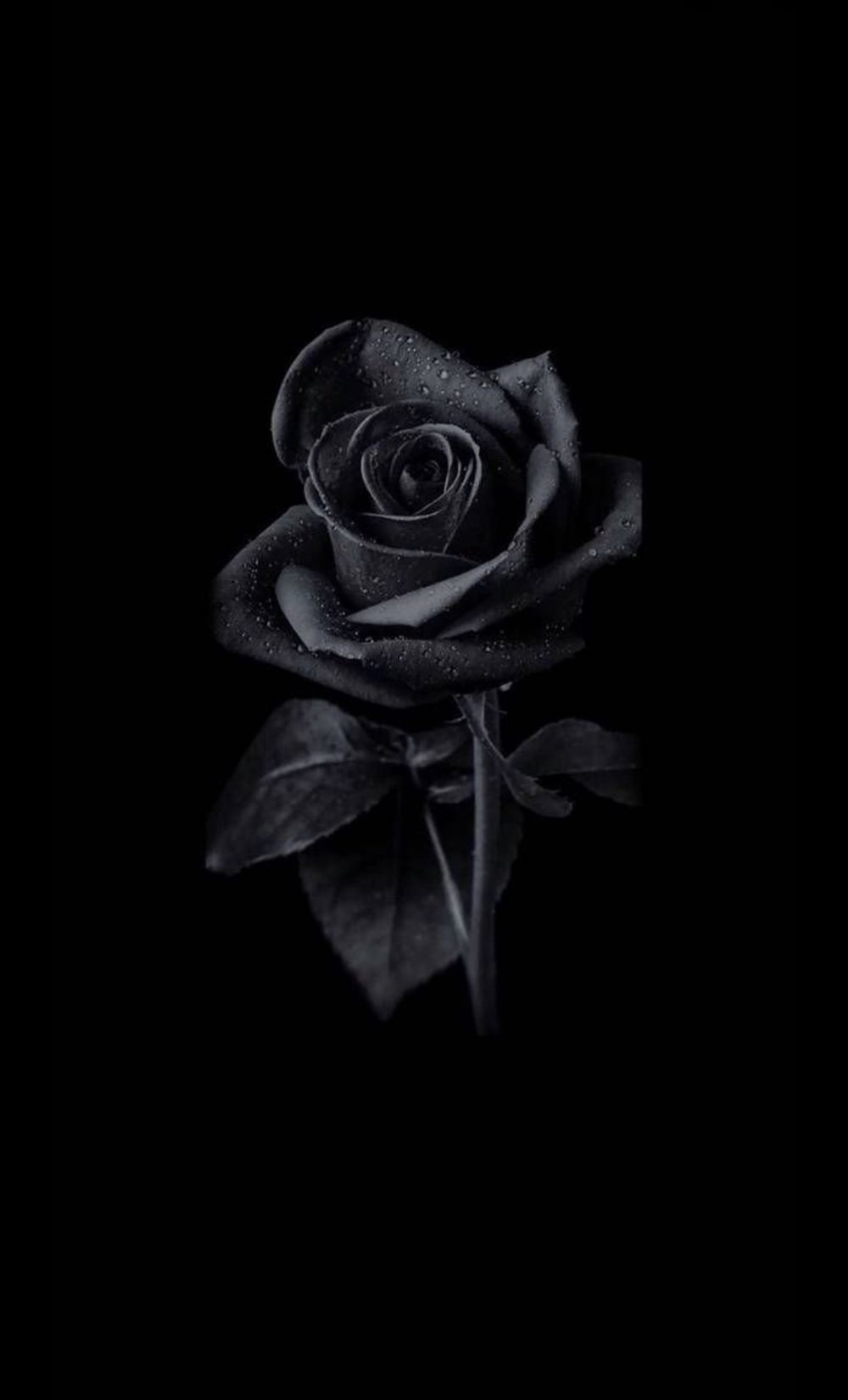 u33893606 OnlyFans profile picture