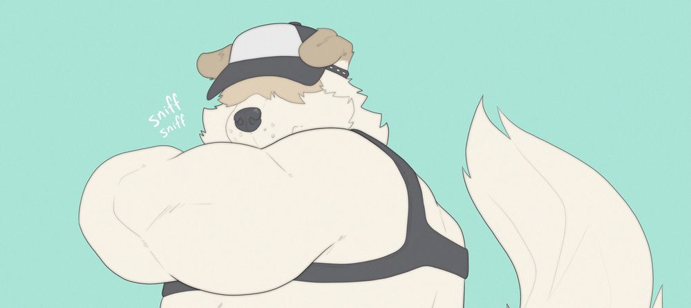 softfloofyboi OnlyFans profile picture