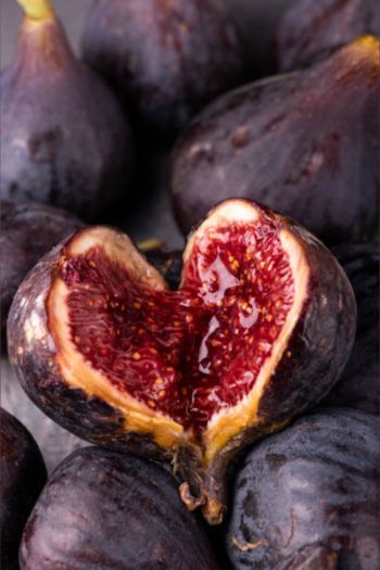 Fig