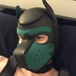 pup_ripley OnlyFans picture