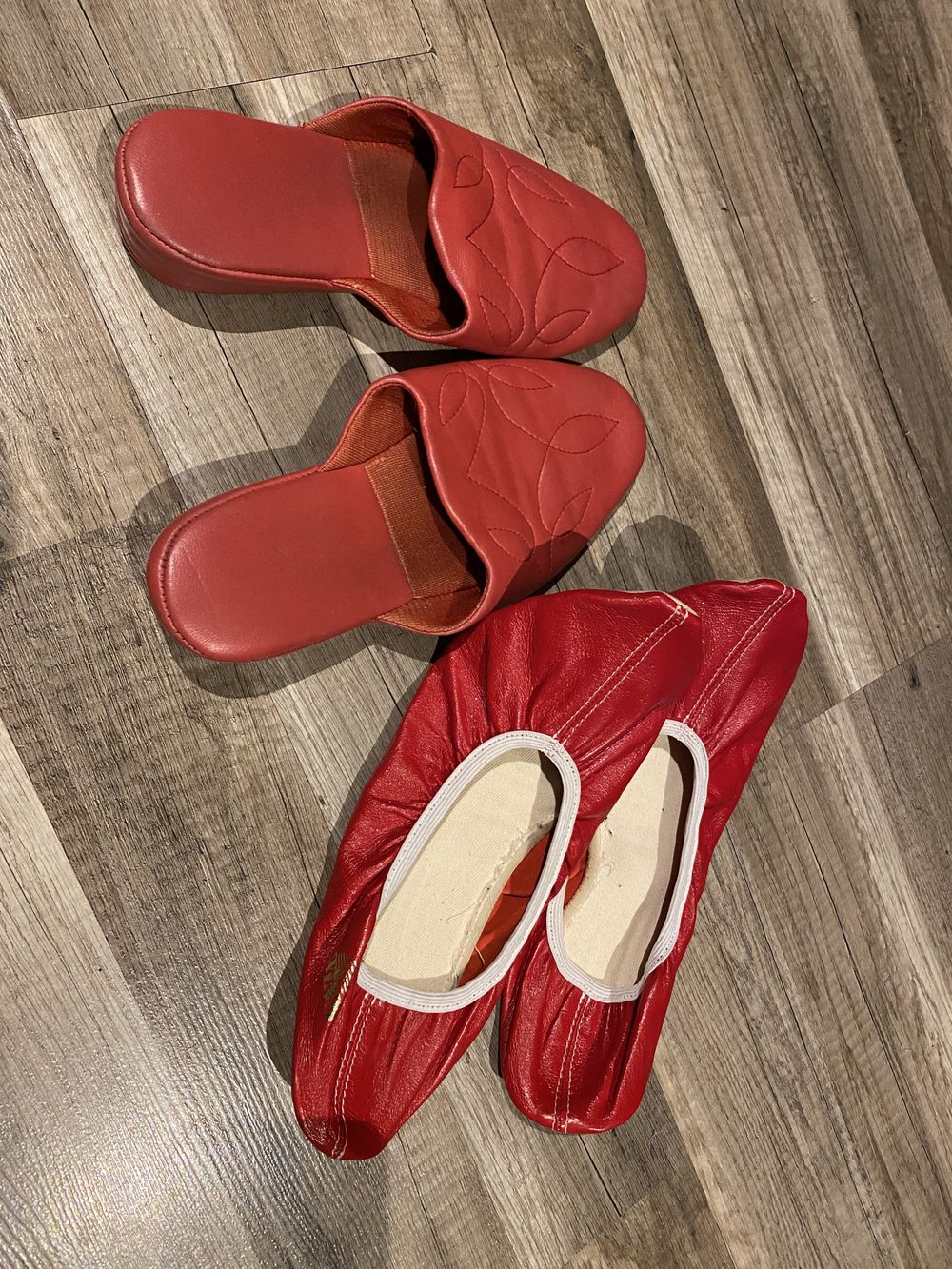 ladyinredslippers OnlyFans profile picture