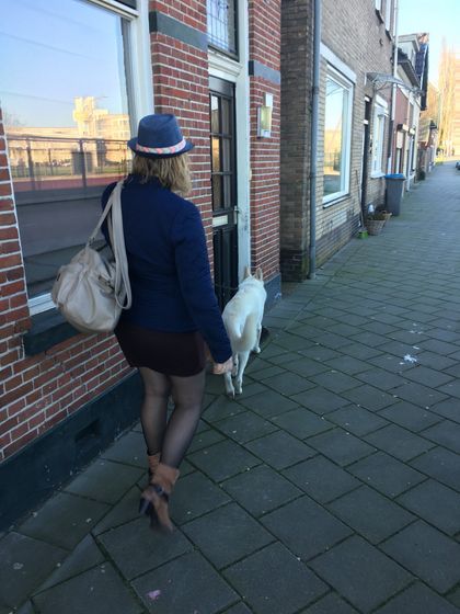 dutchwithcurves OnlyFans picture
