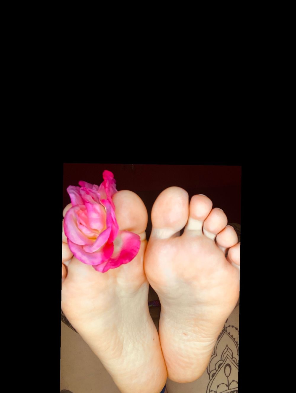 anyarosexx OnlyFans profile picture