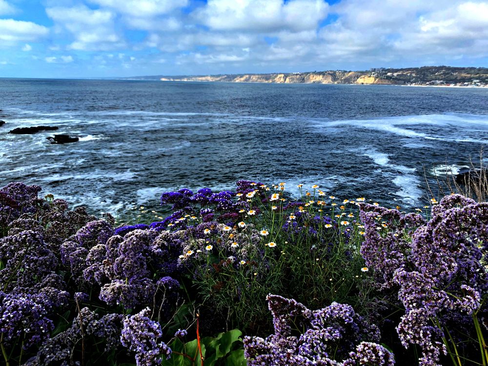 kya_renee OnlyFans - Stats, Graphs, Photos & Profile Comparisons