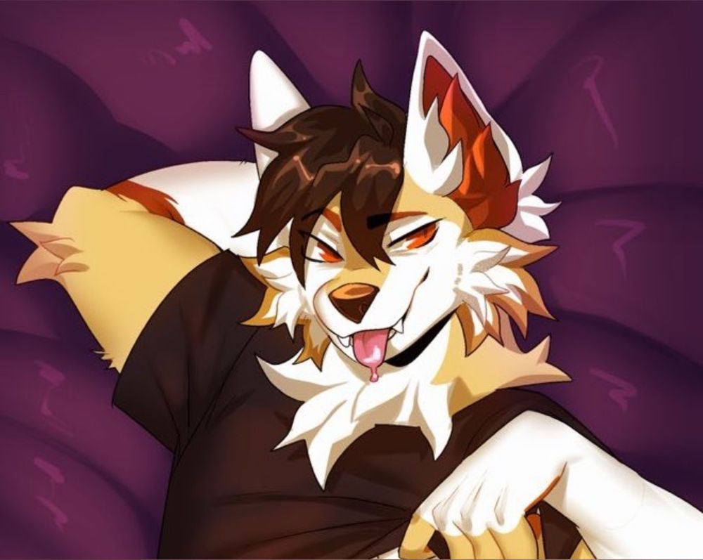 kaiwoof OnlyFans profile picture