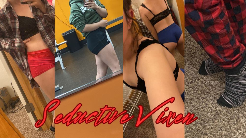 seductivevixen1 OnlyFans profile picture