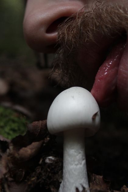 onlymushrooms OnlyFans picture