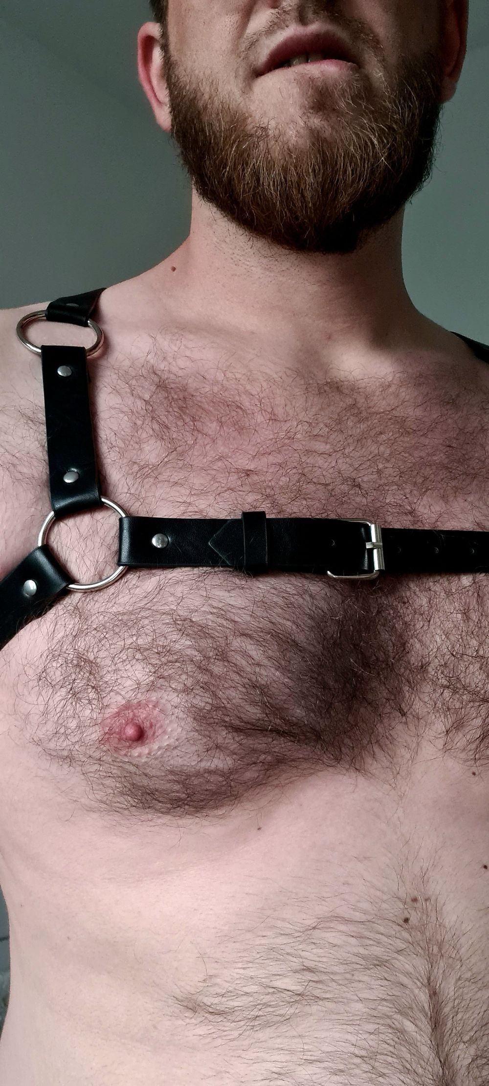 daddy_bear_official OnlyFans profile picture
