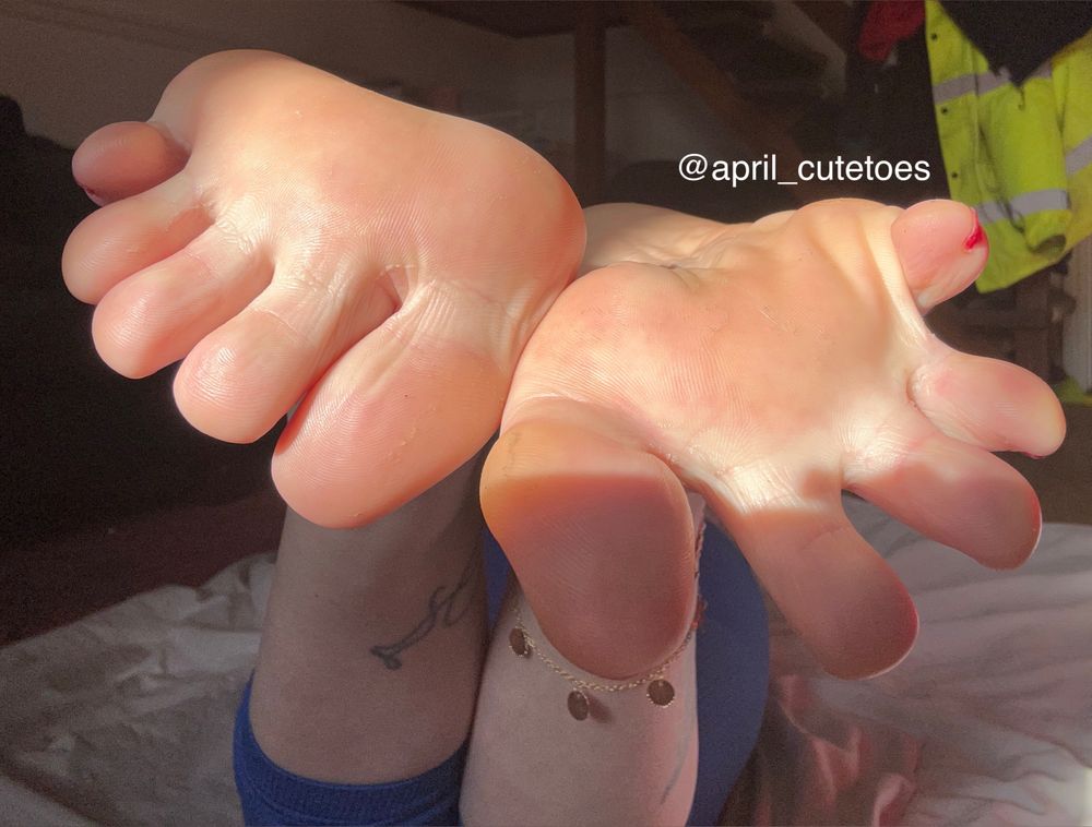 april_cutetoes OnlyFans profile picture