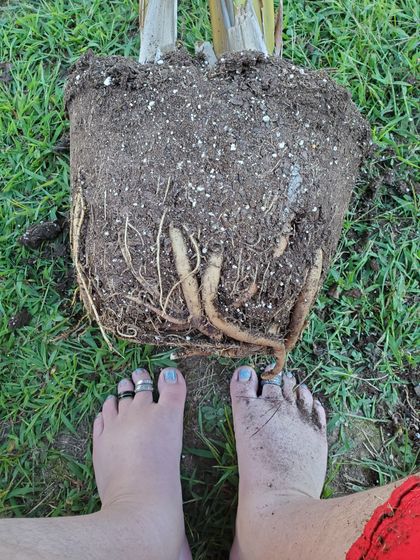 plantlover82 OnlyFans picture