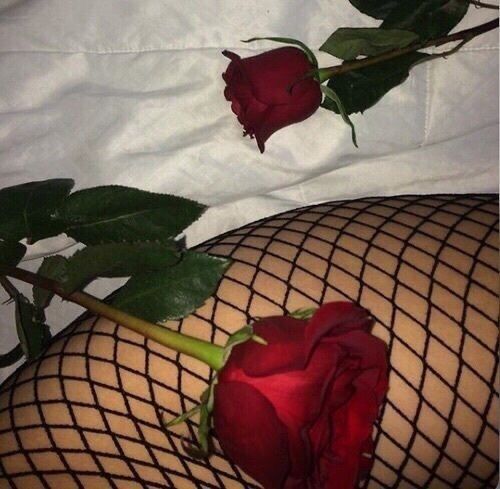 trxoxo OnlyFans profile picture