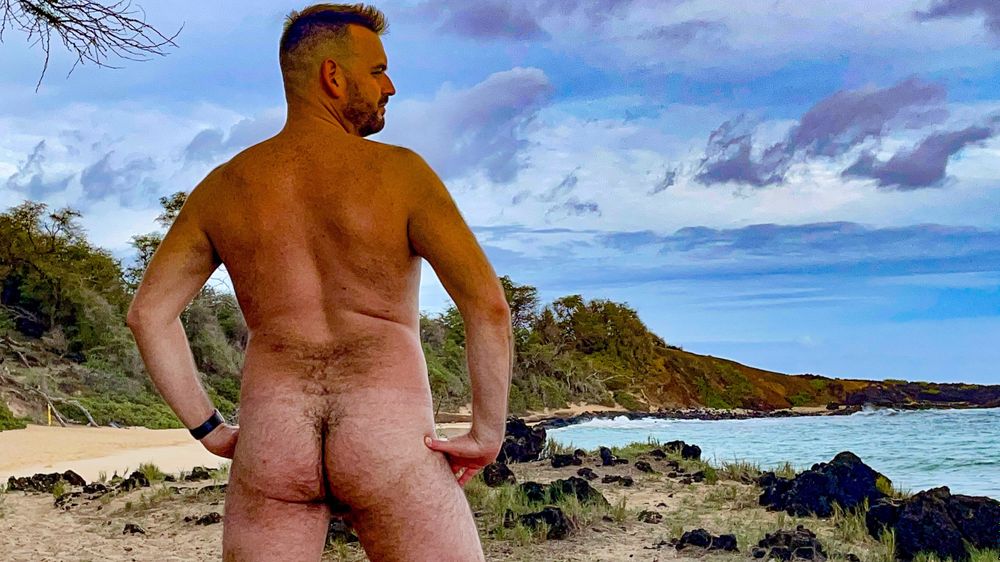 hairyflyboy OnlyFans profile picture
