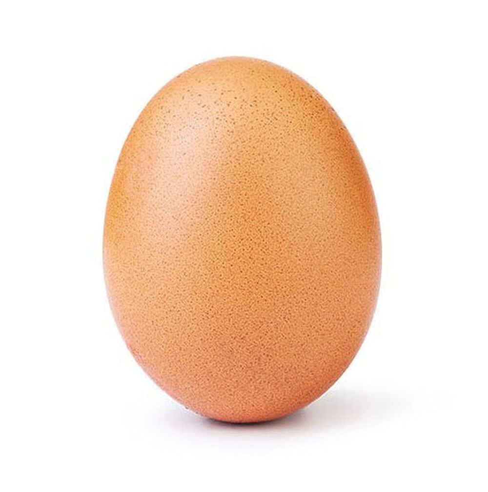 u41628384 OnlyFans profile picture