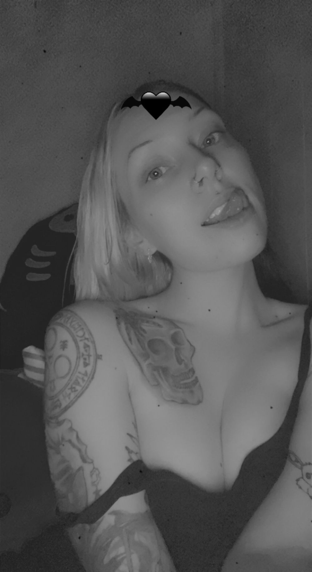 lostlamb666 OnlyFans profile picture