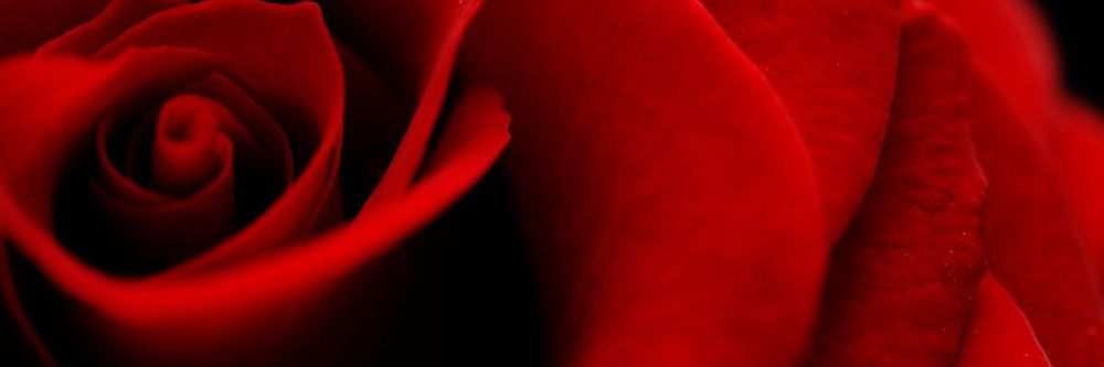 redvelvet19 OnlyFans profile picture