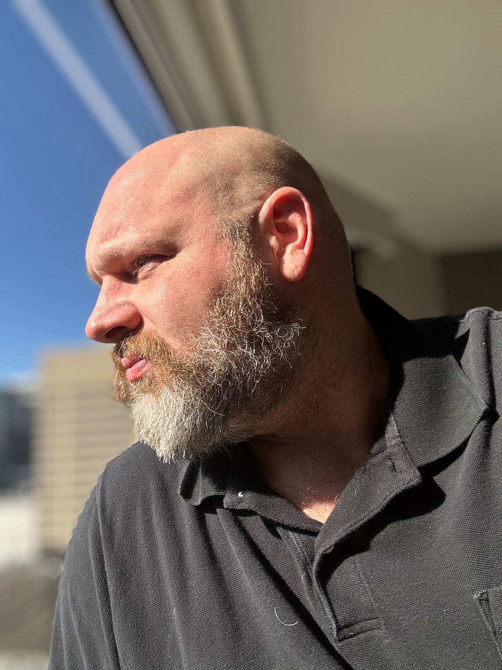 mtghungbear OnlyFans profile picture