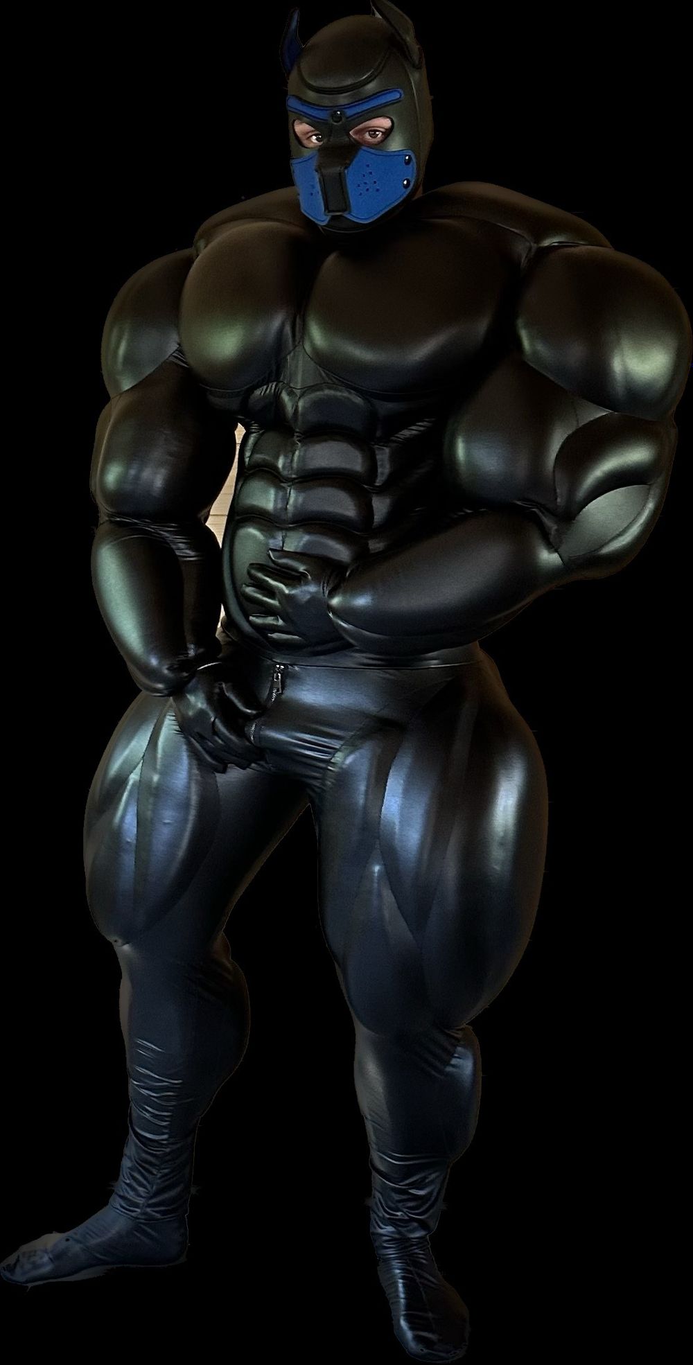 themaskeddog OnlyFans profile picture
