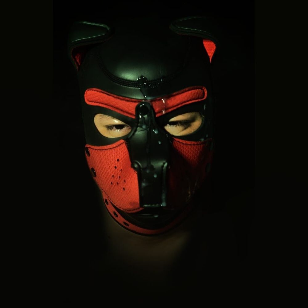 copperpup1998 OnlyFans profile picture