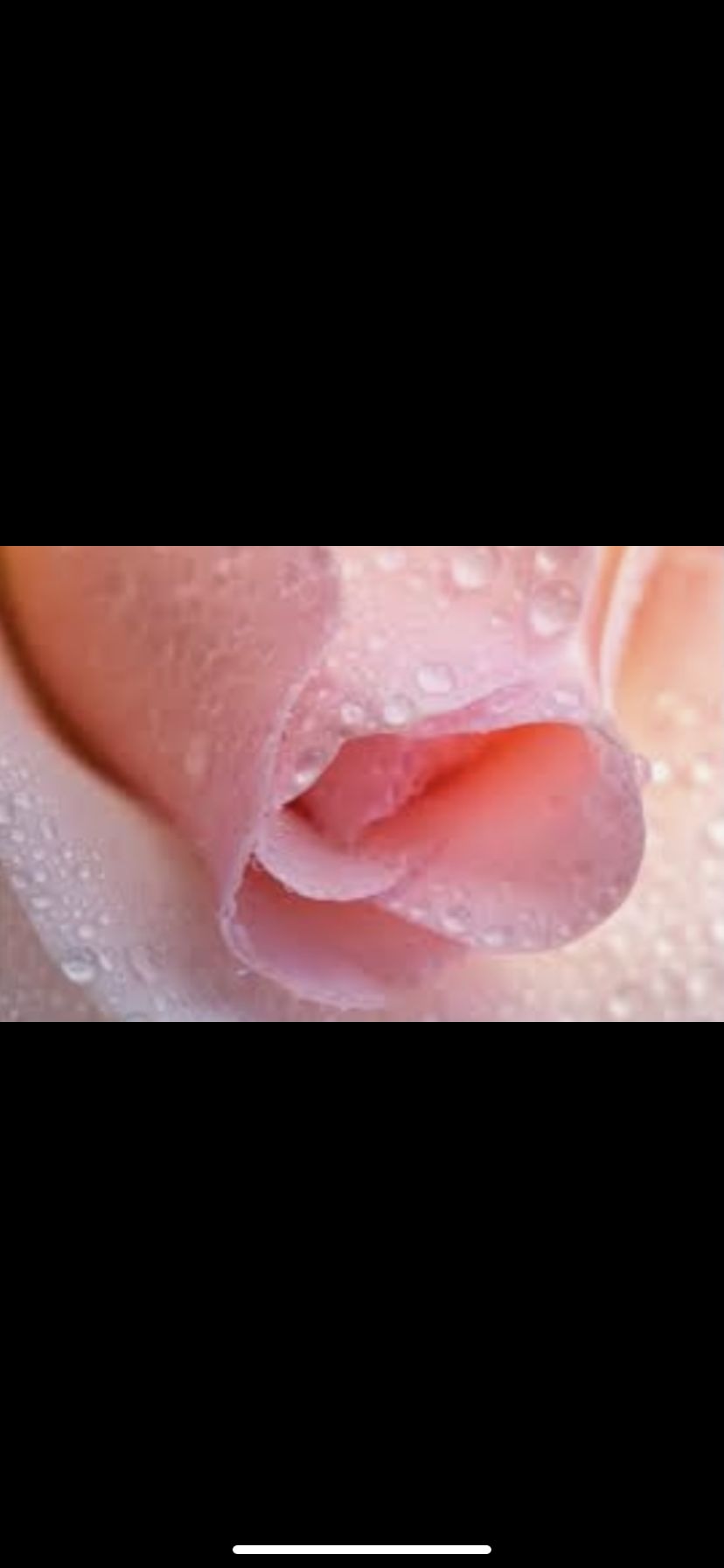 juicyville OnlyFans profile picture