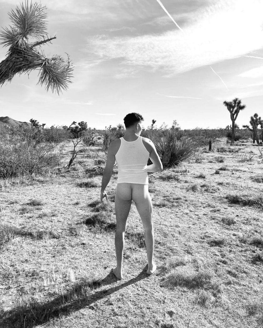 nicklauretani OnlyFans profile picture