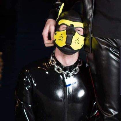 pup_noir OnlyFans picture
