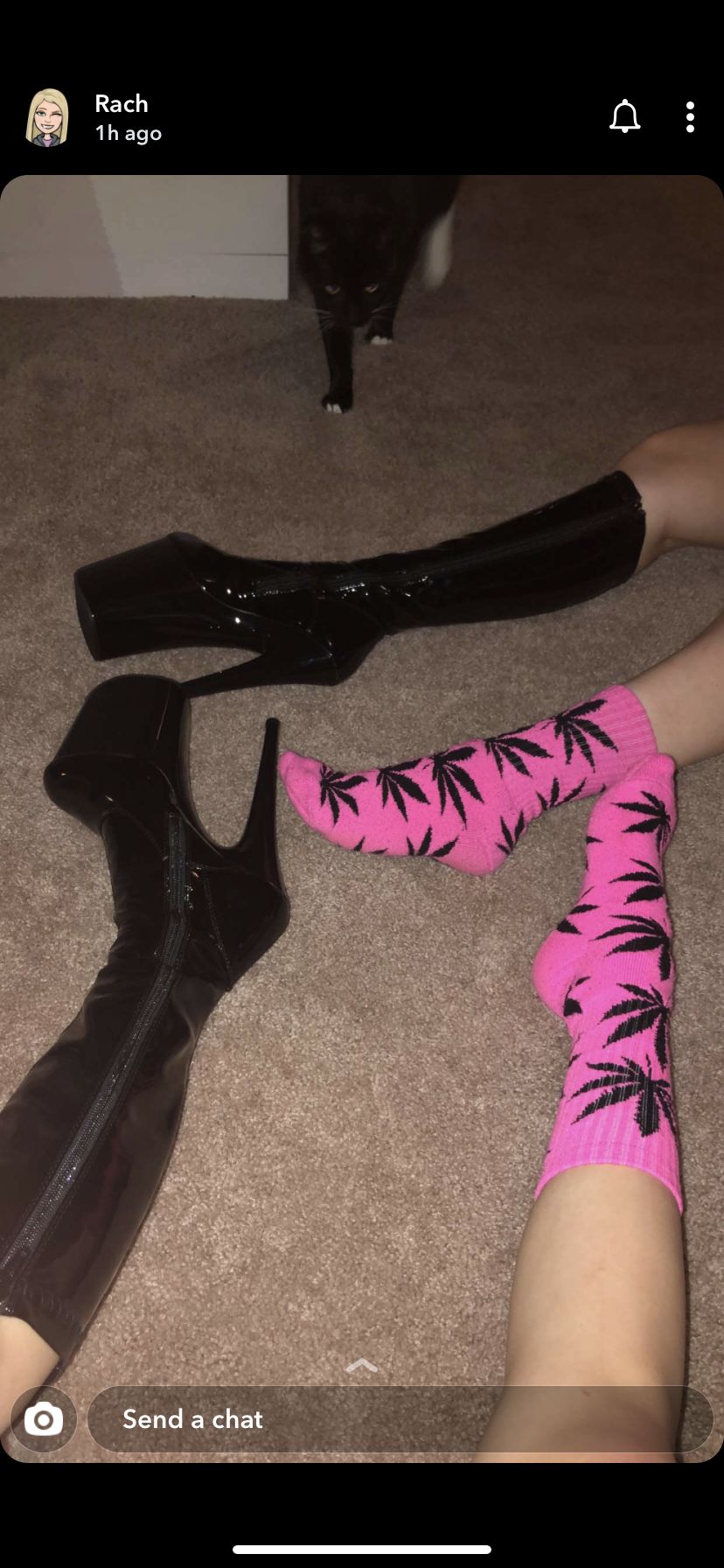 angel_ivy OnlyFans profile picture