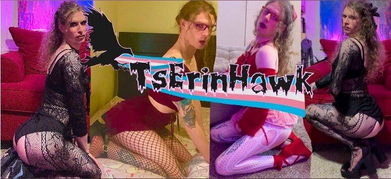 tserinhawk OnlyFans profile picture
